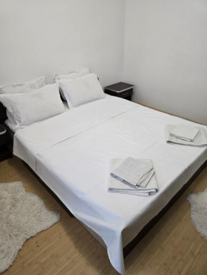 ULTRACENTRAL Apartment Cuza Voda